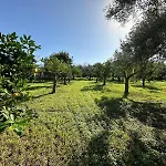 Levante, Relax Esclusivo A Due Passi Dal Mare Vicino Cefalu *
