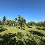 Levante, Relax Esclusivo A Due Passi Dal Mare Vicino Cefalu * Lascari